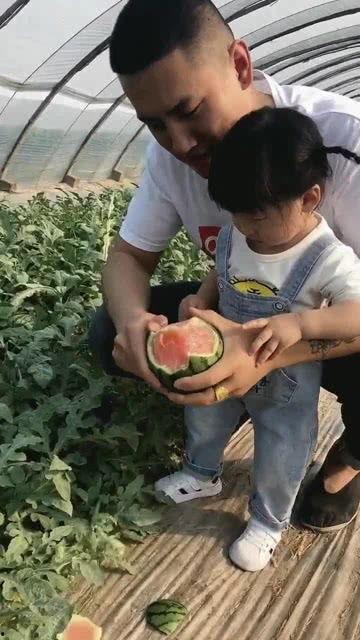 小宝会吃瓜,一场味蕾的奇妙之旅