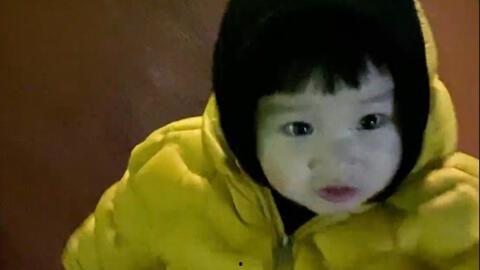 秃崽吃瓜视频,揭秘娱乐圈幕后真相