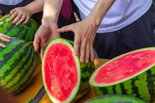 带你吃瓜大学,揭秘校园“吃瓜”趣事