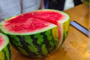 上大学吃的瓜,揭秘校园生活点滴趣事