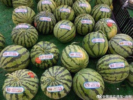 吃瓜反祖,从反祖现象看现代社交文化变迁