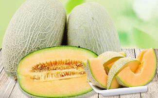 吃哈密瓜嗓子,甜蜜滋味背后的嗓子呵护之道