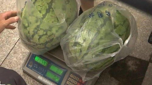 眉村吃瓜,揭秘乡村生活里的酸甜苦辣