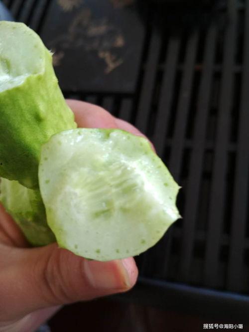 经期可以吃白玉瓜,白玉瓜助力女性健康调理