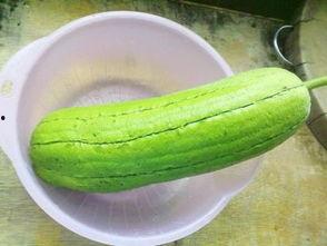 吃瓜爆火2,揭秘娱乐圈背后的秘密风暴